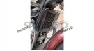 Fit For Royal Enfield Classic 650 Radiator Guard Grill Black - SPAREZO